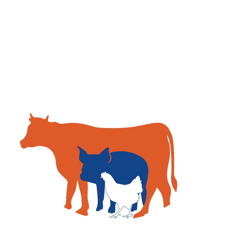 Logo HIFOS-empresa especializada en nutrición animal y suplementos para ganado